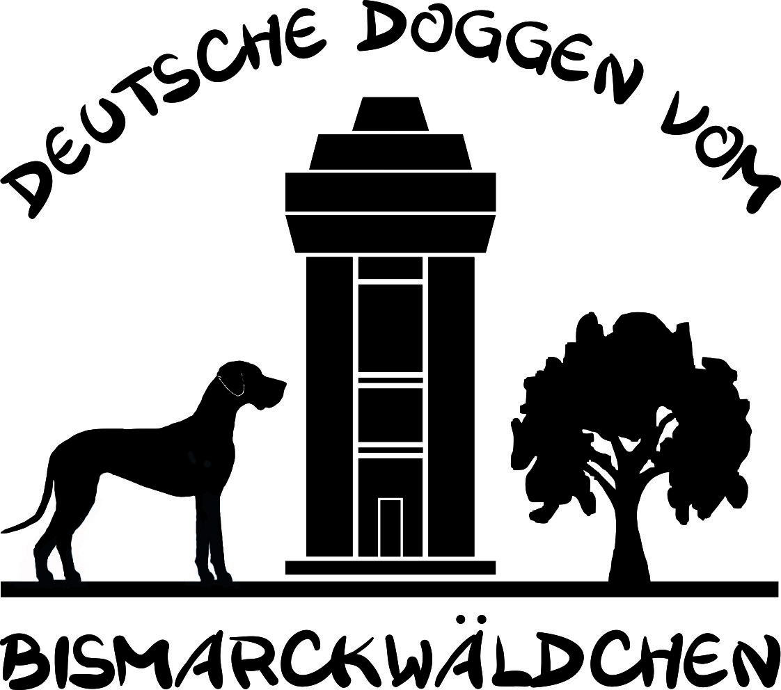 Deutsche Doggen vom Bismarckwäldchen